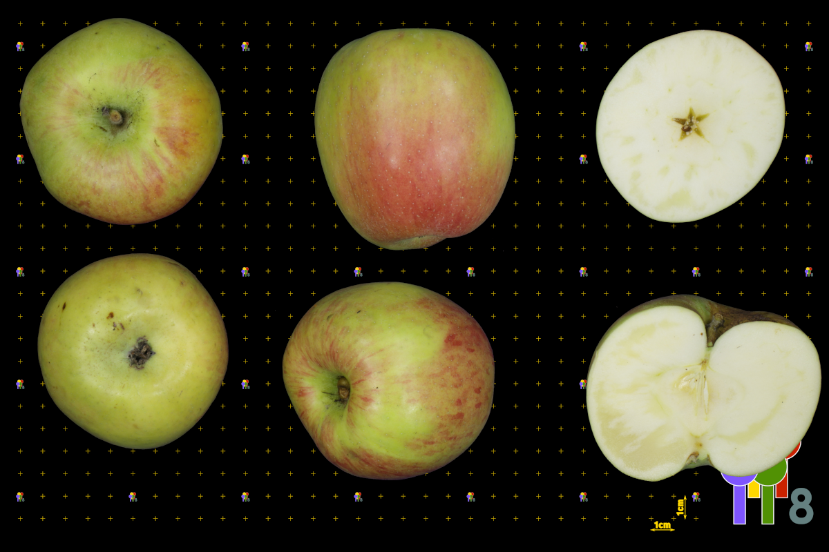 plaatje niet gevonden