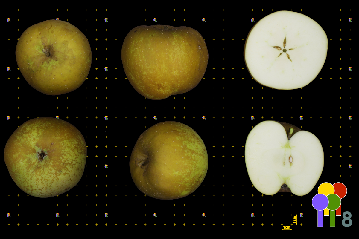 plaatje niet gevonden