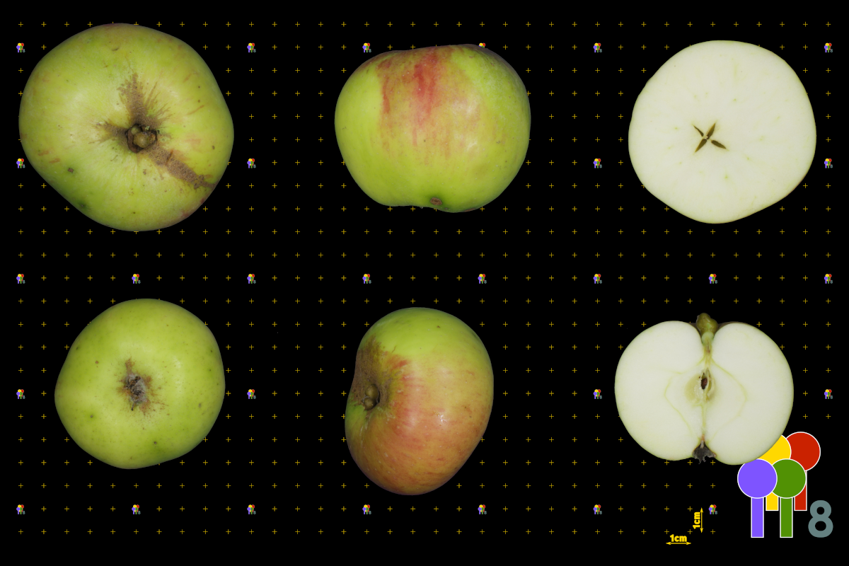 plaatje niet gevonden