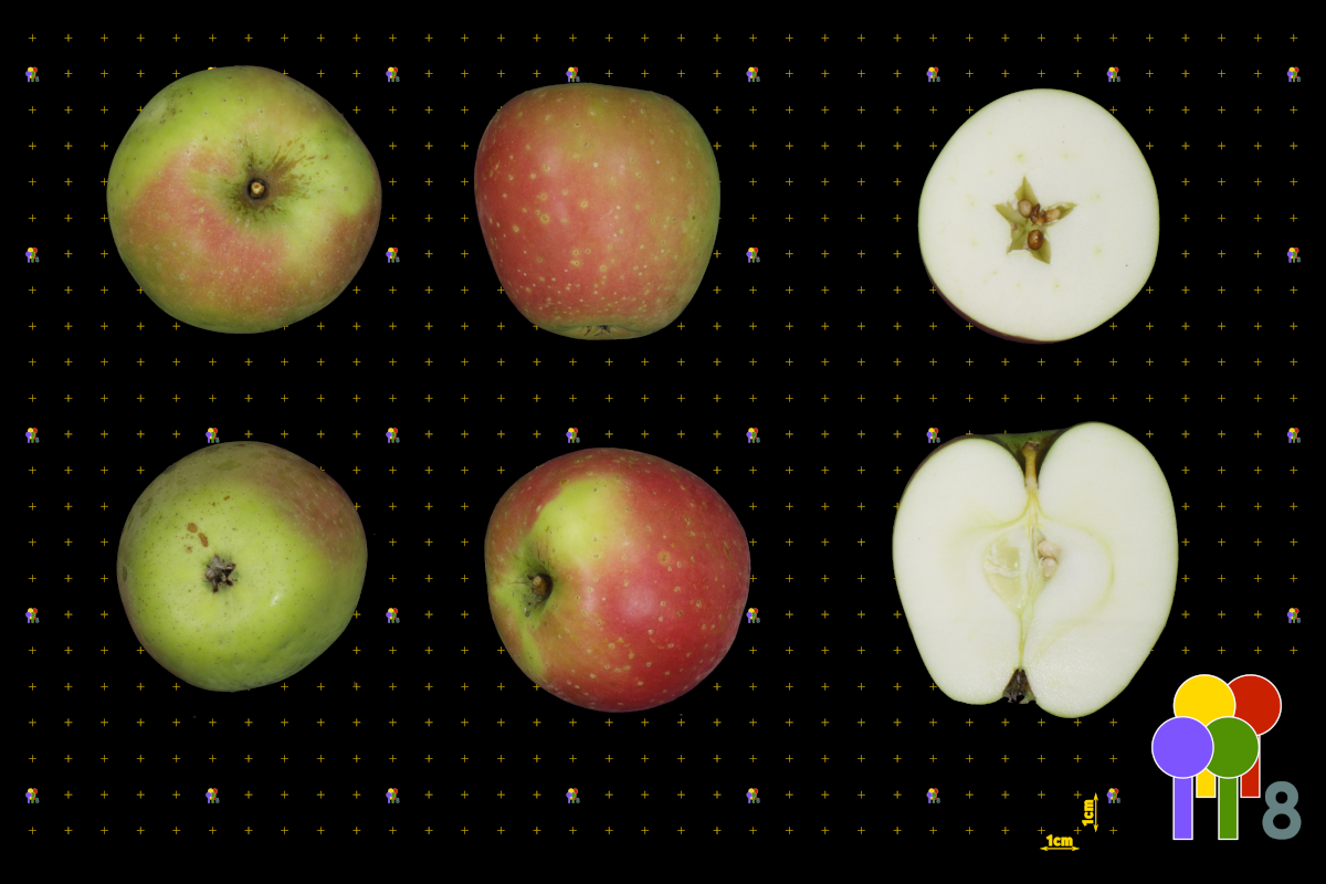 plaatje niet gevonden