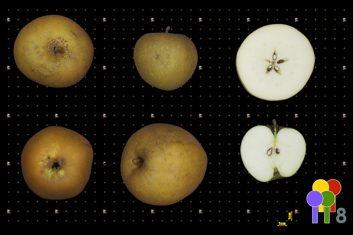 plaatje niet gevonden