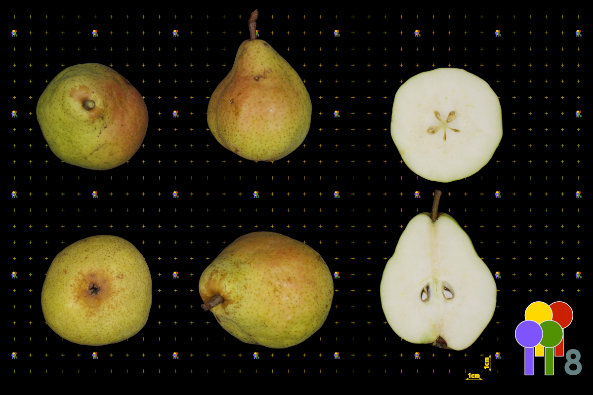 plaatje niet gevonden