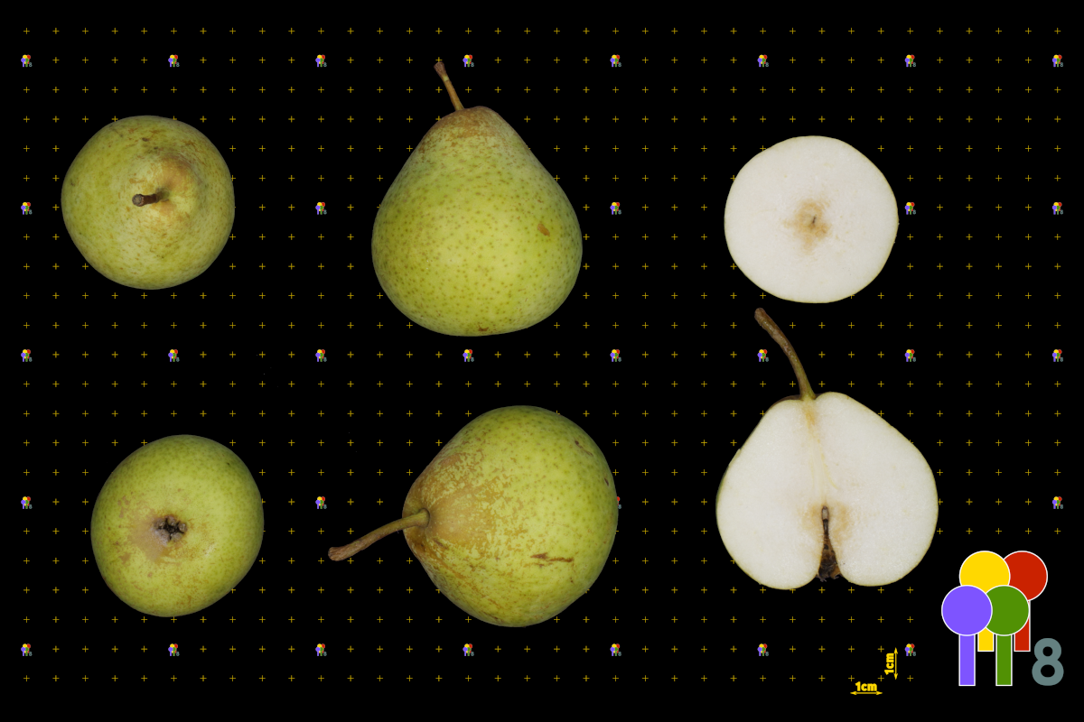 plaatje niet gevonden