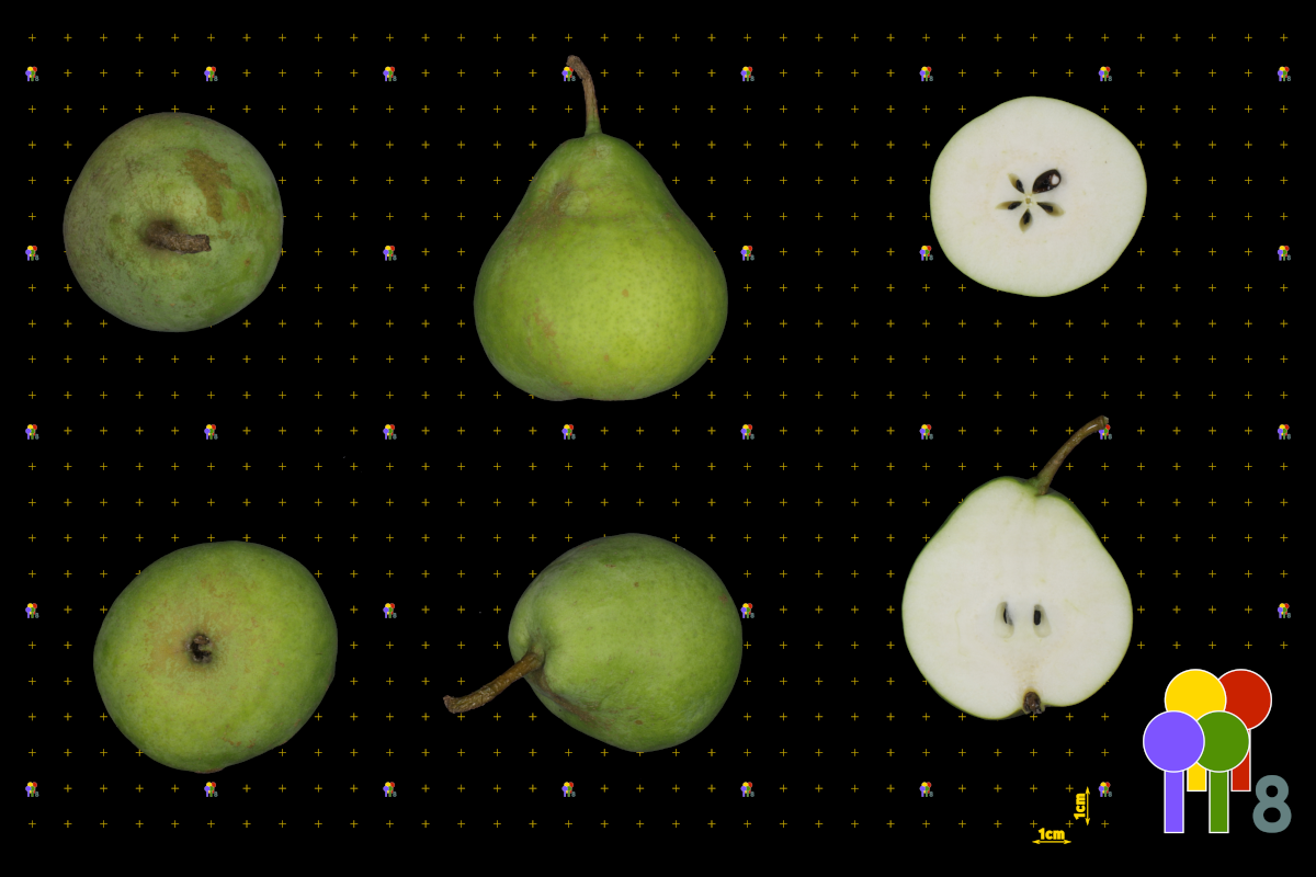 plaatje niet gevonden